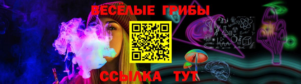 Галлюциногенные грибы Psilocybe  Вход с VPN  Мценск  Галлюциногенные грибы Psilocybe 